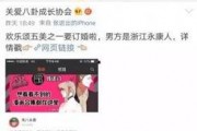 小说吃瓜娱乐,揭秘娱乐圈背后的秘密与真相