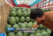 718娱乐吃瓜入口