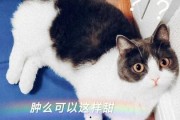 娱乐圈吃瓜嗑cp,CP组合甜蜜指数大揭秘